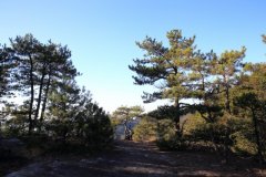 <b>并取汗青构成的旧道山径、机耕土同废</b>